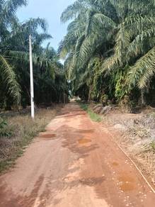 Agricultural Land in Sepang, SGR
