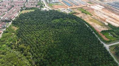 Agricultural Land in Sungai Petani, KDH
