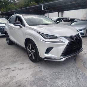 Lexus NX 300 PREMIUM in Petaling Jaya, SGR