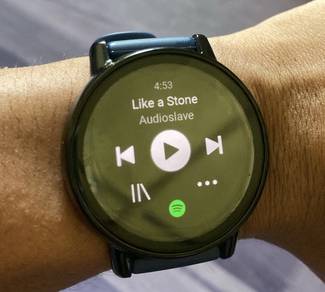Garmin vivoactive5