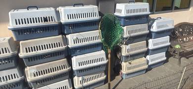 2nd Pet carriers and cages