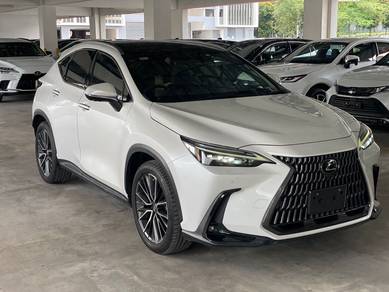Lexus NX 250 LUXURY in Old Klang Road, KUL