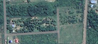 Agricultural Land in Pekan, PHG