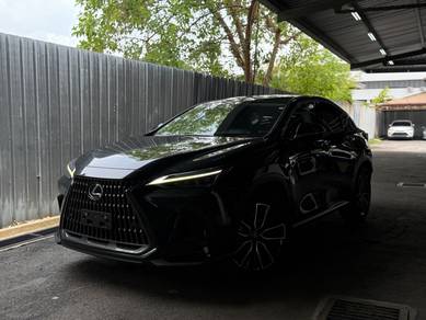 Lexus NX 250 LUXURY in Bandar Kinrara, SGR