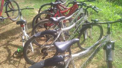 raleigh gear shimano
