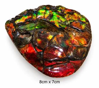 班彩 Canada natural ammonite/ ammolite