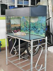 fish aquarium 3feet