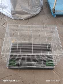 burung sangkar  / bird case