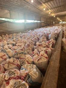 Baja Organik Tahi Ayam Campuran