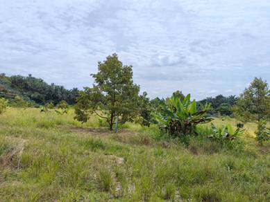 Agricultural Land in Raub, PHG
