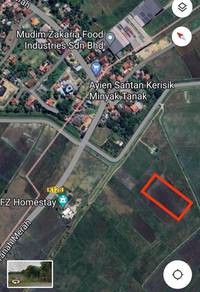 Agricultural Land in Pendang, KDH