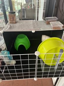 Hedgehog and Cage Set