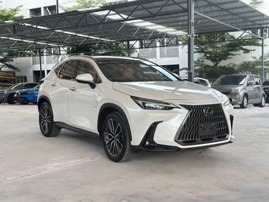 2025 Lexus NX 250 LUXURY