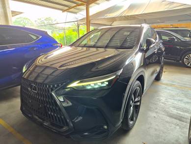 Lexus NX 250 LUXURY in Cheras, KUL