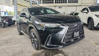 Lexus NX 250 LUXURY in Cheras, KUL