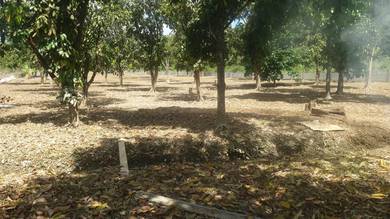 Agricultural Land in Kulai, JHR