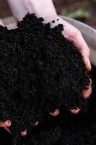 Tanah Hitam Sawit Organik / Black Soil Organic