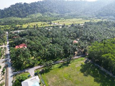 Agricultural Land in Pantai Remis, PRK