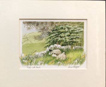  “Ewes With Lamb” Countryside Sheep Lithograph