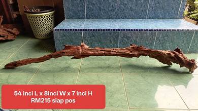 kayu akuarium panjang tenggelam