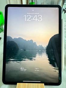 iPad Pro 11" (2018) 256GB Wi-Fi + Cellular - Space