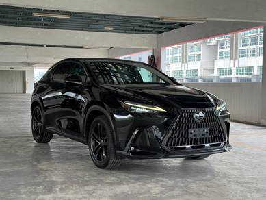 Lexus NX 250 LUXURY in Puchong, SGR