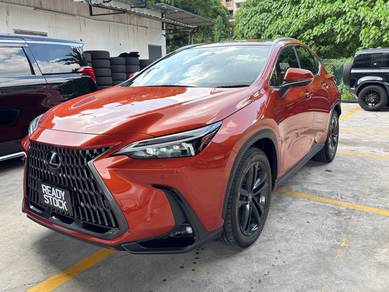 2023 Lexus NX 250 LUXURY