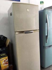 Fridge Electrolux Peti Sejuk Refrigerator Ais Ice