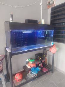 4ft Aquarium set with arowana silver 