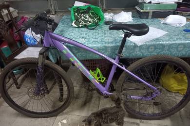 roadbike blackpurple colour