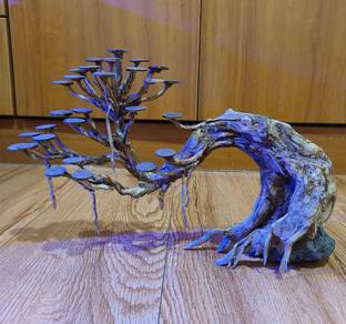 Driftwood Bonsai Aquascape for Tank Below 45cm