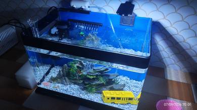 Aquarium Set