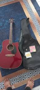 Takamine D Series guitar