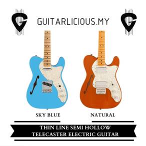 Gamma Thinline Telecaster Semi-Hollow Elec Guitar