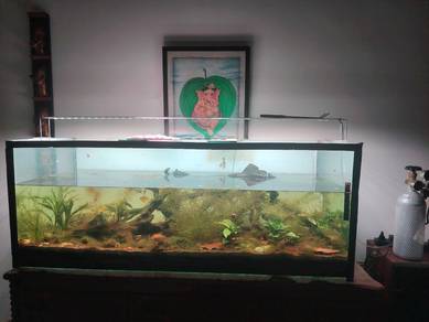4 Ft Aquarium / Fish Tank
