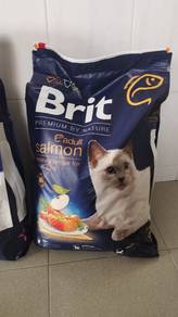 cat food 