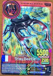 Animal Kaiser Evo 8 Stag Beetle Animal Card