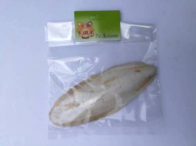 Cuttlefish Bone Tulang Sotong Bird Turtle Food