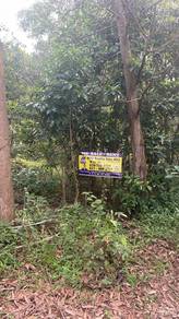 Industrial Land in Telok Mas, MLK