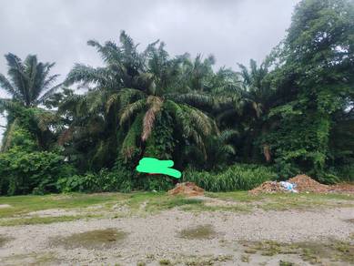 Industrial Land in Seri Manjong, PRK