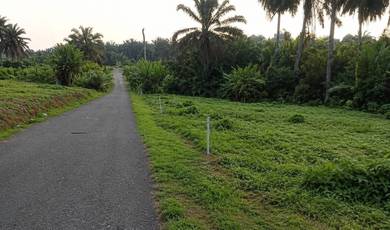 Agricultural Land in Kulai, JHR