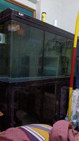 Aquarium 4x2 kaki + kabinet