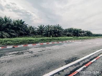 Agricultural Land in Teluk Intan, PRK
