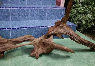 aquarium driftwood besar untuk tank 6kaki