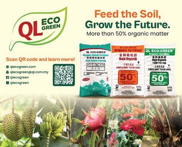 Baja Organic