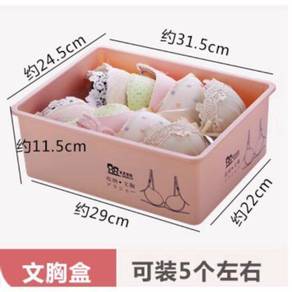 Plastic storage box with cover