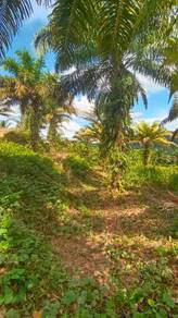 Agricultural Land in Sandakan, SBH