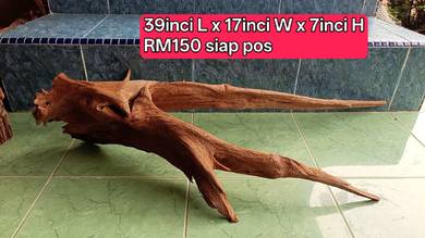 kayu hiasan aquarium tank Discus cun
