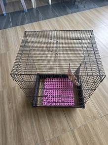 Sugar Glider Cage