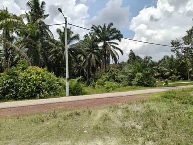 Agricultural Land in Pagoh, JHR